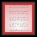 Ghazal new 02 * 22.03.2008 * 462 x 812 * (41KB)